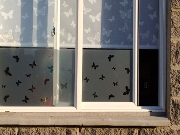 empavonado casas y departamentos